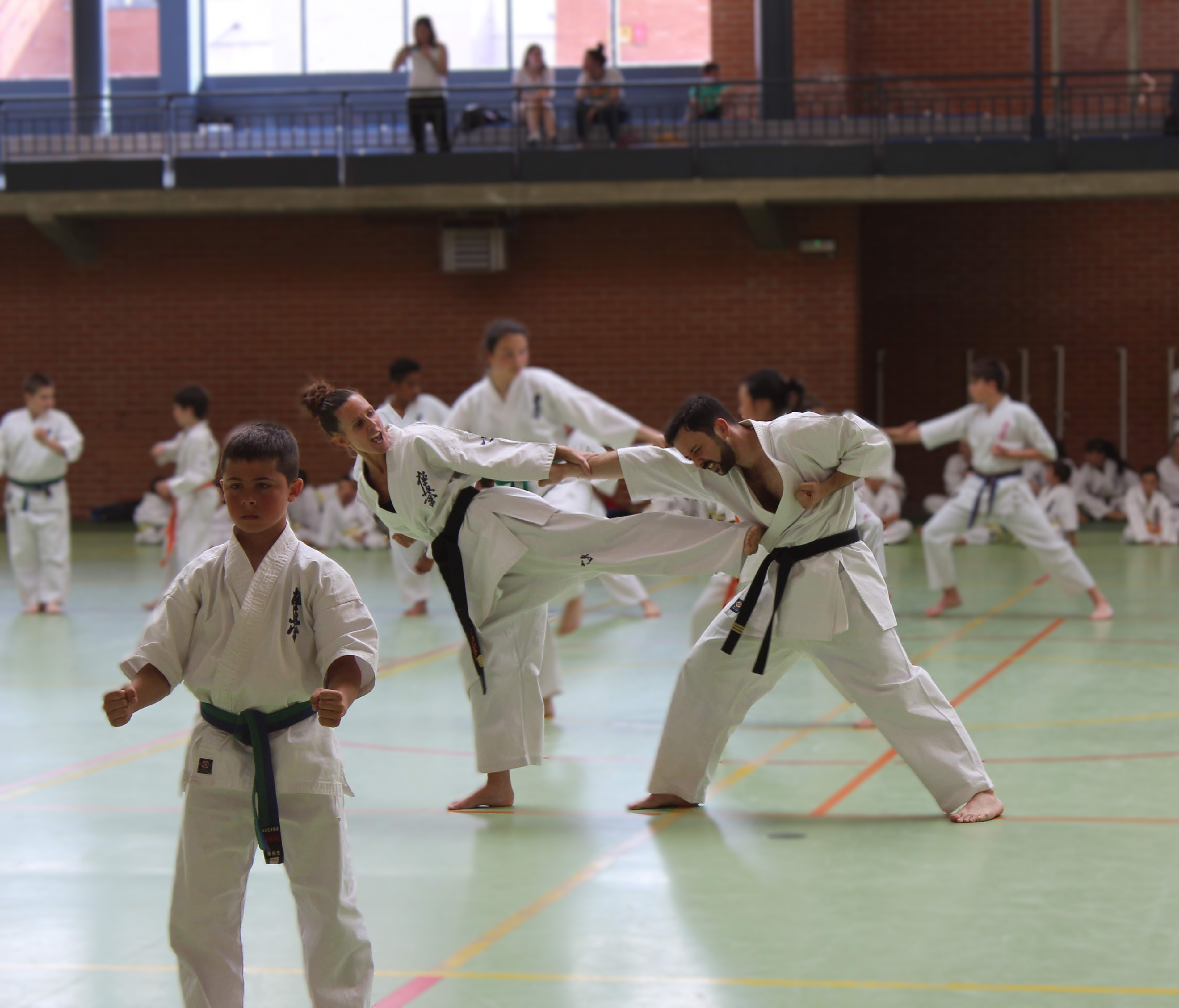 clase de kumite karate en Vitoria