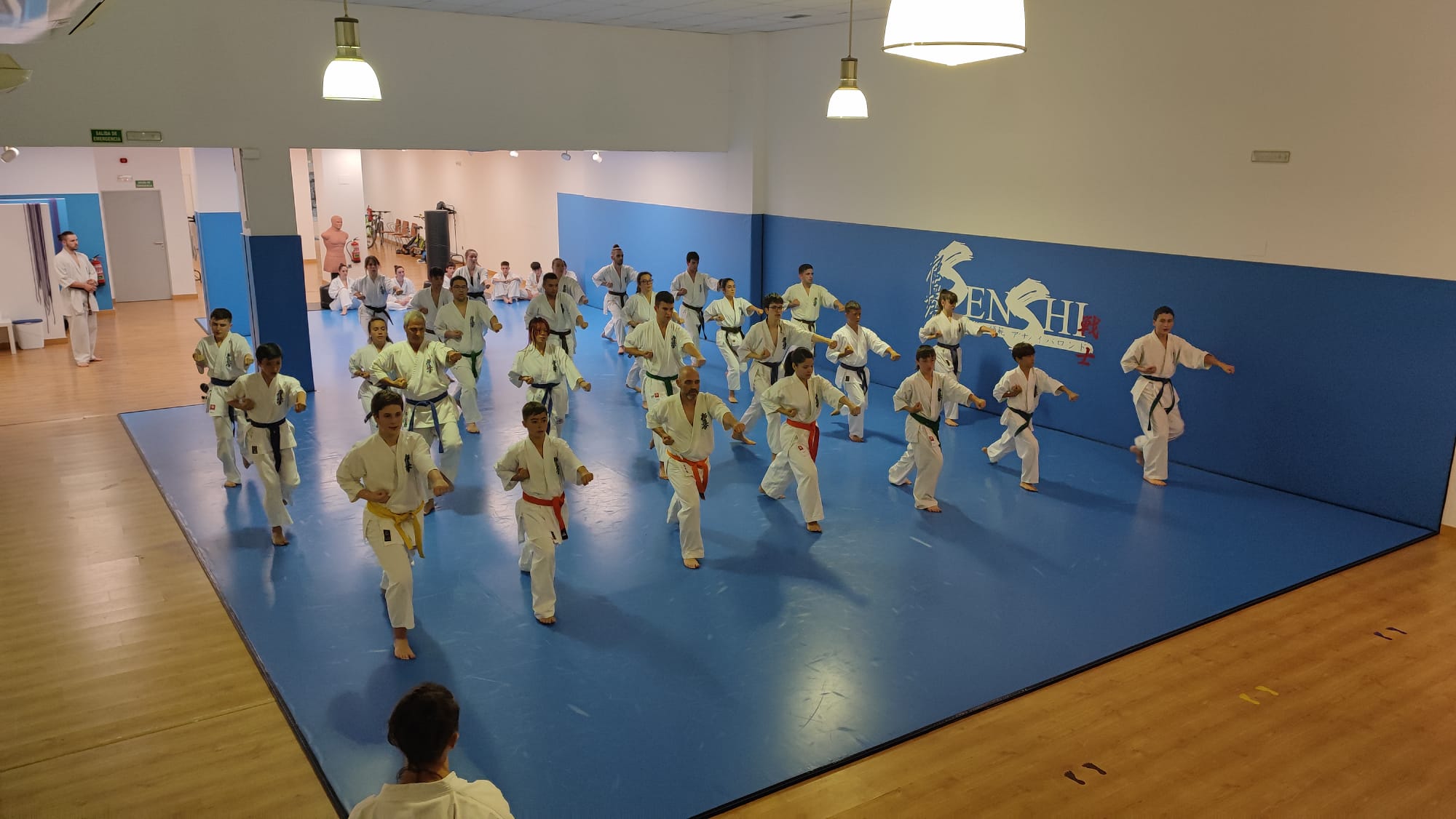 instalaciones de karate y kickboxing en Vitoria