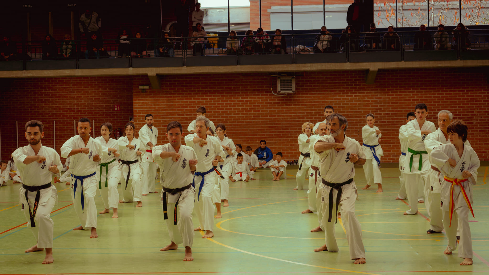 Karate en Vitoria en Dojo Senshi