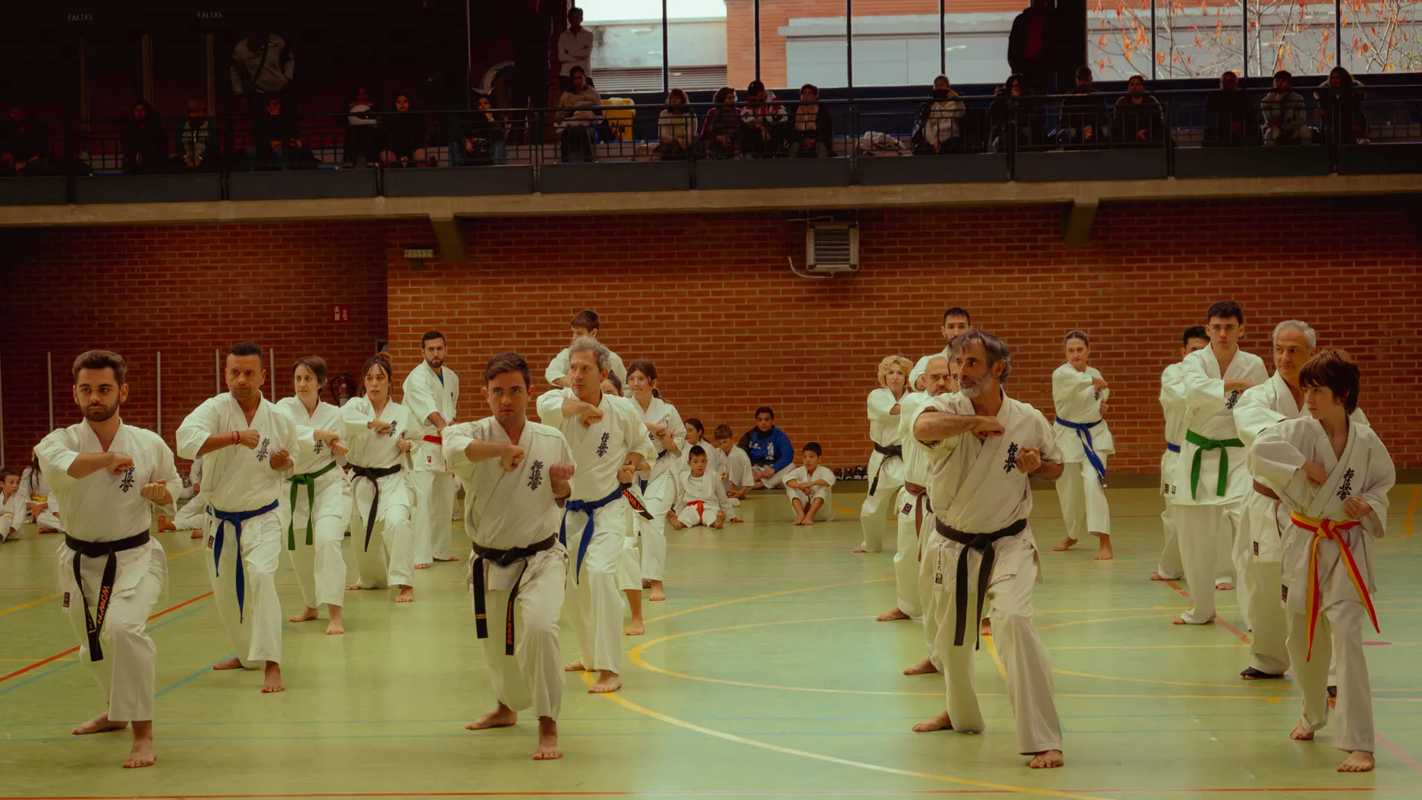 Karate en Vitoria en Dojo Senshi