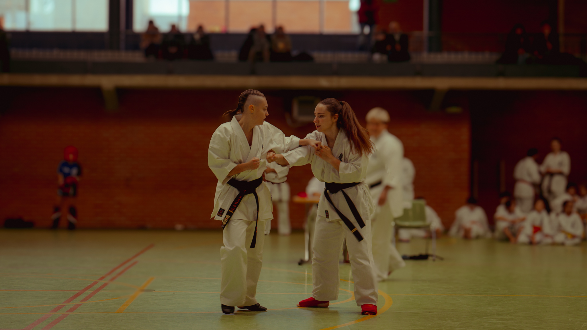 clases de karate en Vitoria